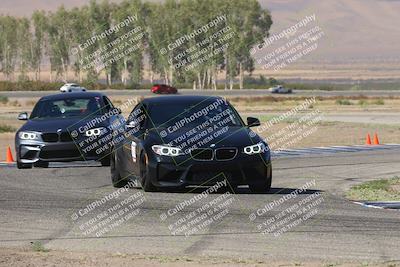 media/Oct-04-2025-OnGrid (Sat) [[44bd565ffa]]/Pink Group/Sunrise/